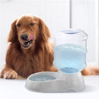Automatic Gravity-Flow Pet Waterer