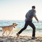 2 In 1 Dog GPS Fence Tracker Wireless GPS Dog Fence GPS Dog Collar With 32-2887FT Radius IPX6 Waterproof For Small Medium Large Dogs