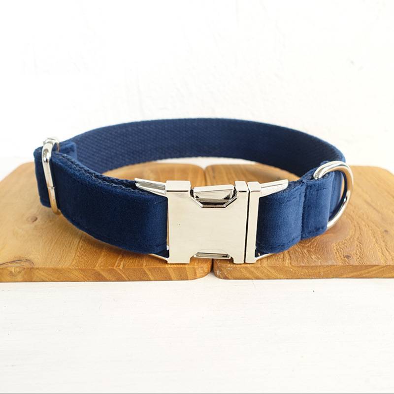 Bow dog collar and leash set